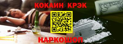спайс Кингисепп
