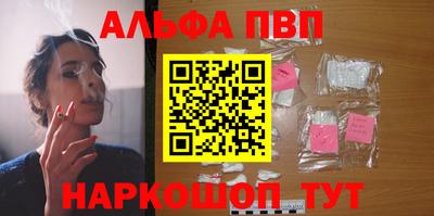спайс Кингисепп
