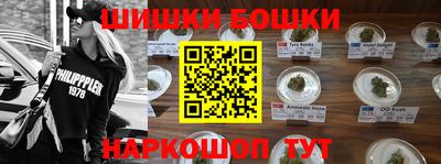 спайс Кингисепп