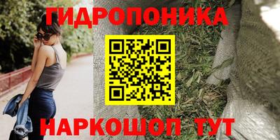 спайс Кингисепп
