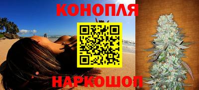спайс Кингисепп