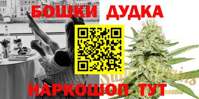 спайс Кингисепп
