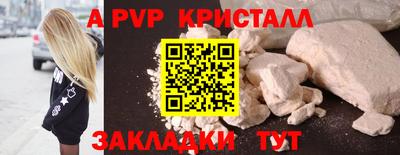 спайс Кингисепп
