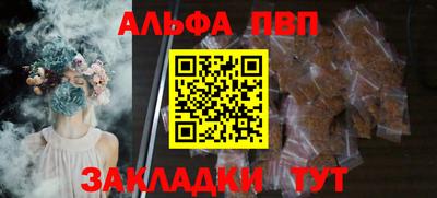 спайс Кингисепп