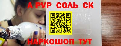 спайс Кингисепп