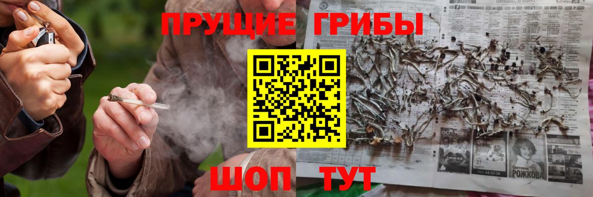 Псилоцибиновые грибы мицелий  Галлюциногенные грибы GOLDEN TEACHER  Красноярск  Вход с VPN 